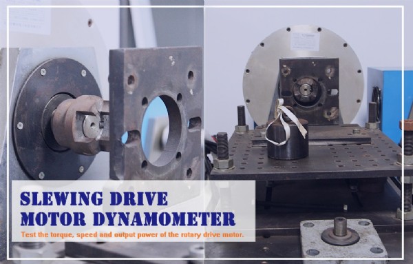Slewing drive motor test